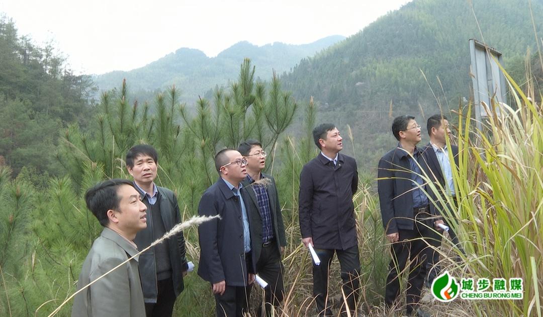 市自然资源和规划局到城步督导地质灾害隐患点治理工作(图1)