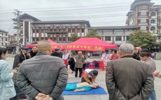 城步苗族自治县红十字会开展“5·8世界红十字日”宣传活动(图3)