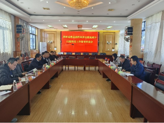 城步组织开展国家遥感监测图斑涉及耕地减少问题整改工作督导座谈会(图1)