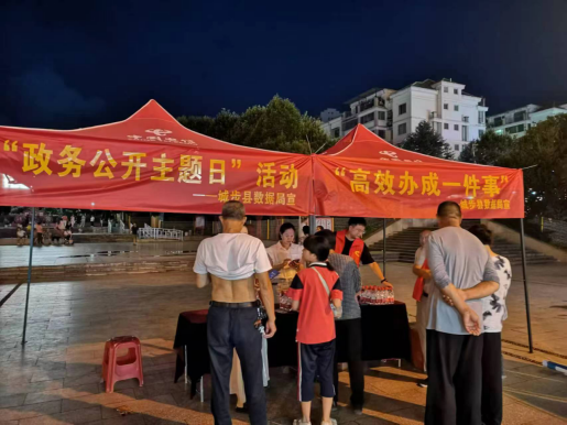 城步数据局举行高效办成一件事政务公开主题日(图2)