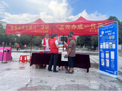 城步数据局举行高效办成一件事政务公开主题日(图1)