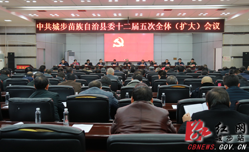 城步召开县委十二届五次全体（扩大）会议(图1)