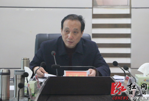 城步召开2020年第1次政府常务会(图2)