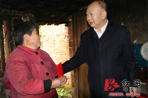 罗建南深入儒林镇看望慰问困难群众(图3)