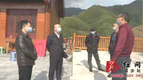 罗建南深入长安营镇督导驻村帮扶和疫情防控工作(图1)