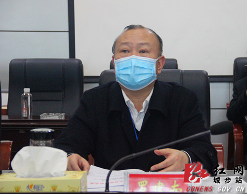 城步全力推进重点项目复工开工(图2)