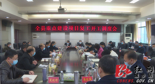 城步全力推进重点项目复工开工(图1)
