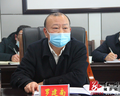 王昌义到城步走访了解企业疫情防控和复工复产工作(图3)