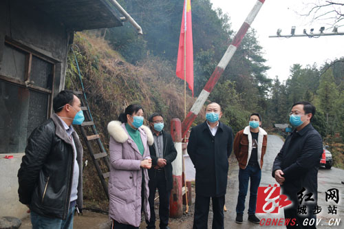 罗建南暗访督查城步基层抗疫防控工作(图2)