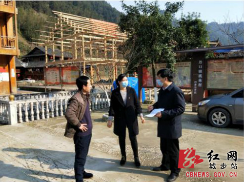 阳恩平暗访丹口镇驻村帮扶和疫情防控工作(图1)