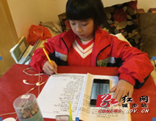 城步防疫教学两不误 线上教学暖人心(图3)