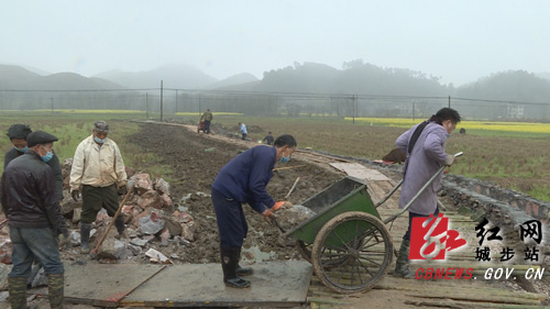 城步：人勤春早 2.1万亩高标准农田建设完成任务近半(图1)