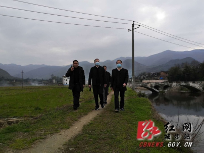 罗小林调研指导金兴村脱贫攻坚项目建设工作(图1)