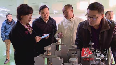 陈文华一行调研湘商产业园 助力精准扶贫项目(图1)