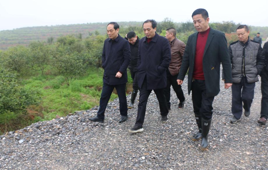 杨博理督查西岩镇水库防汛和春耕生产工作(图2)