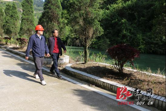 杨博理赴儒林镇督导河长制和安全生产工作(图1)