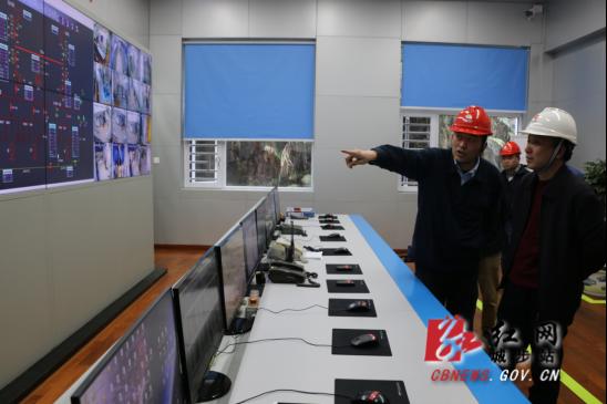 杨博理赴儒林镇督导河长制和安全生产工作(图2)