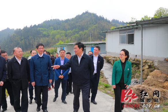 何报翔赴城步调研企业复工复产和脱贫攻坚工作(图2)