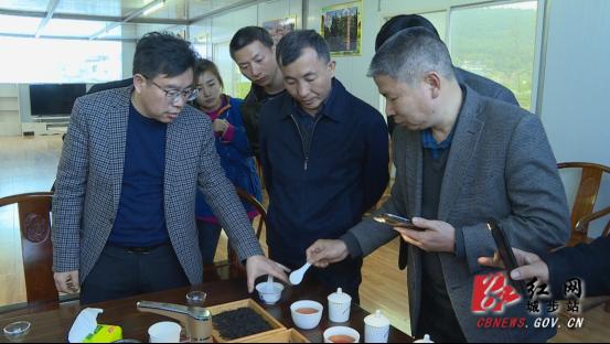 湖南省农科院专程调研城步峒茶产业发展(图1)