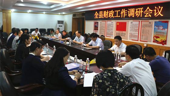 杨博理调研全县财政税收工作(图2)