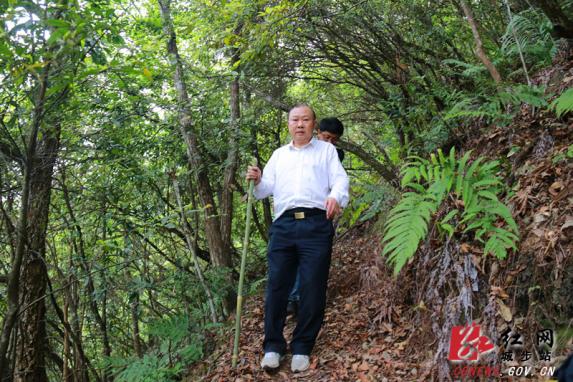 罗建南深入湖南南山国家公园核心保护区调研植物多样性工作(图2)