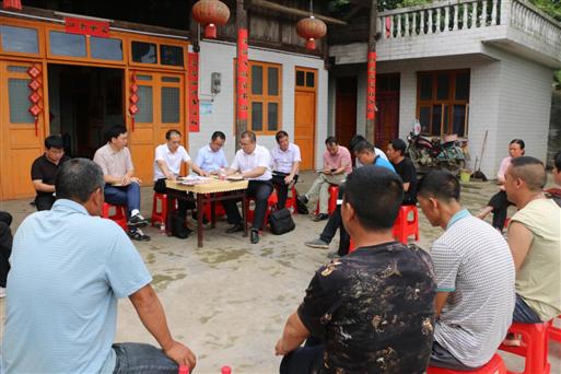 杨博理督导儒林镇、威溪乡脱贫攻坚工作(图2)