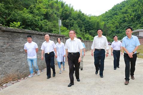 龚文密在城步调研时强调：强化责任确保如期完成违法用地整改  依法依规解决好群众合理合法诉求(图1)