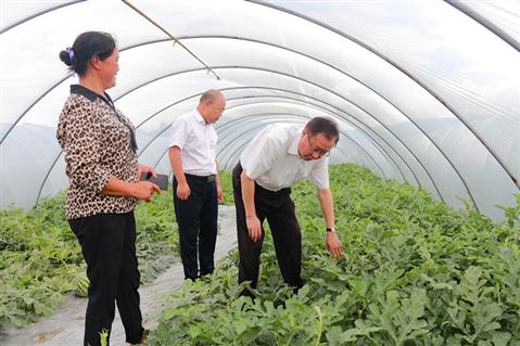 龚文密在城步调研时强调：强化责任确保如期完成违法用地整改  依法依规解决好群众合理合法诉求(图3)