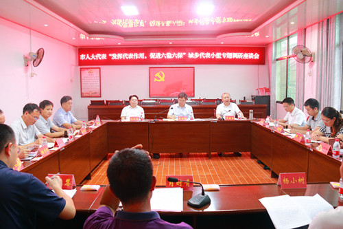 曾市南在城步参加市人大代表小组主题活动(图4)