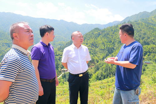 罗建南深入白毛坪镇黄伞村调研脱贫攻坚工作(图1)