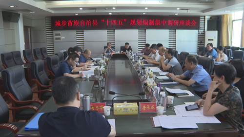 城步召开“十四五”规划编制集中调研座谈会(图1)
