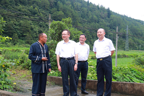 龚文密在城步调研：坚决如期高质量完成脱贫攻坚任务(图2)