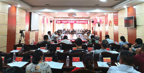 城步政协召开“乡村振兴产业发展问题”专题议政性常委会议(图1)