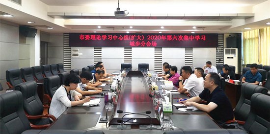 城步组织收看市委理论学习中心组（扩大）2020年第六次集中学习电视直播会议(图1)