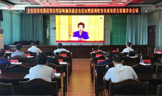 城步组织收听收看全省坚决克服疫情灾情影响确保脱贫攻坚如期圆满收官电视电话会议(图1)