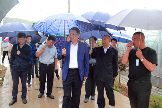 黄关春率队赴城步调研脱贫攻坚和自然保护地工作(图1)