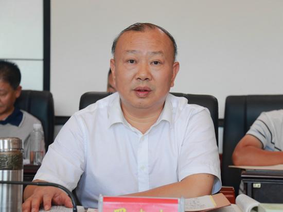 城步召开儒林商业步行街建筑方案评审会(图1)