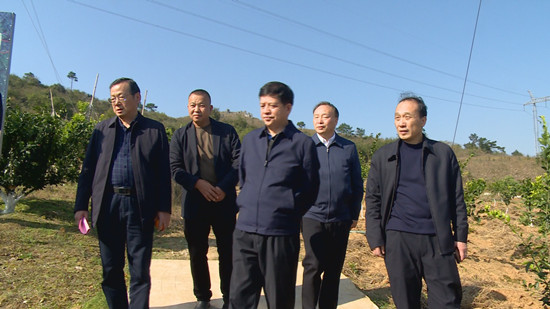 袁延文深入城步调研特色农业产业发展情况(图1)
