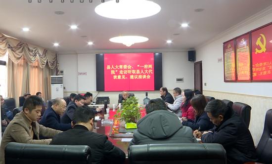 县人大常委会及“一府两院”集中走访西岩、金紫、威溪人大代表(图1)