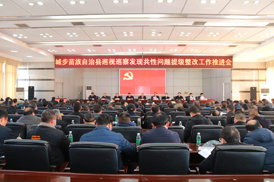 城步召开巡视巡察发现共性问题提级整改工作推进会(图2)