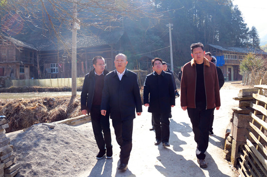 罗建南调研指导儒林镇浆坪村党组织换届工作(图1)