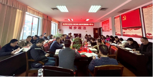 城步苗族自治县委政法委机关开展政法队伍教育整顿集中学习(图3)