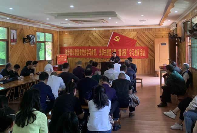 城步纪委监委开展党史学习教育(图2)