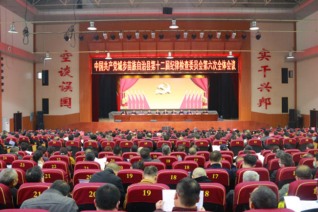城步召开第十二届纪委第六次全体会议(图4)