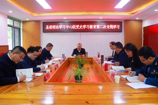 城步委理论学习中心组开展党史学习教育第二次专题学习(图4)