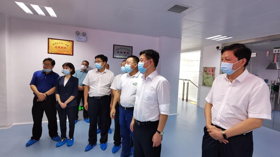 严华在城步苗族自治县调研时强调： 坚决扛起生态文明建设政治责任 坚定不移走好生态优先绿色发展之路(图2)