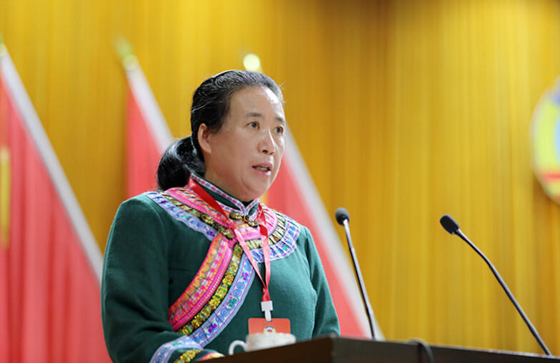 政协城步苗族自治县第十一届委员会第一次会议开幕(图2)