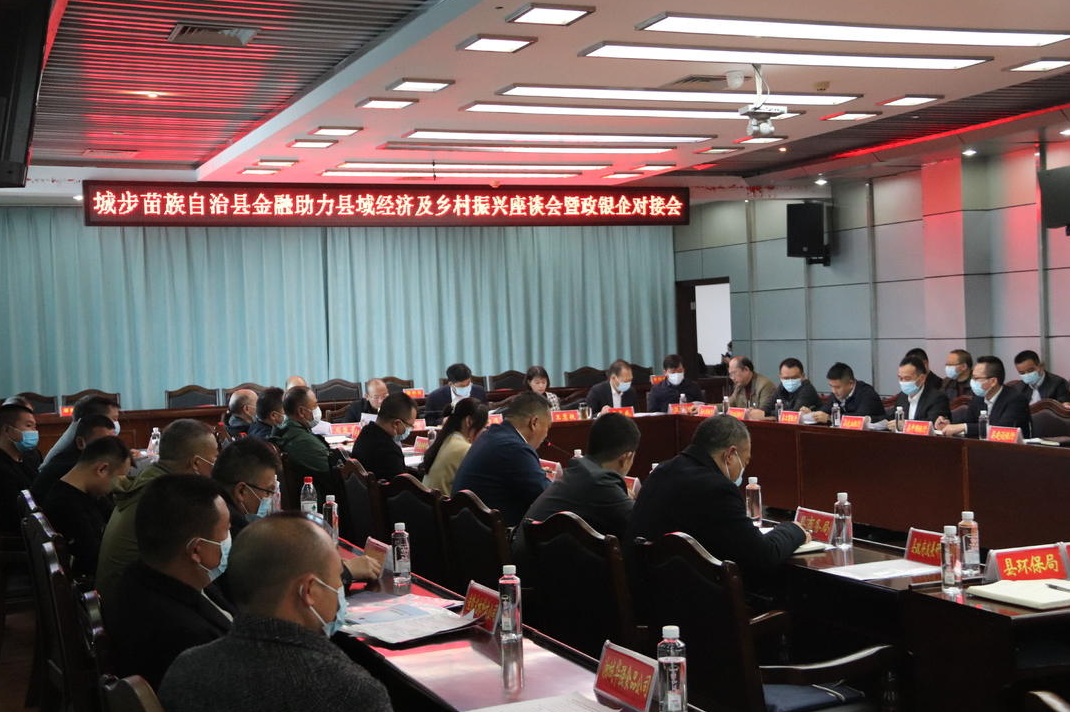城步召开金融助力县域经济及乡村振兴座谈暨政银企对接会(图1)