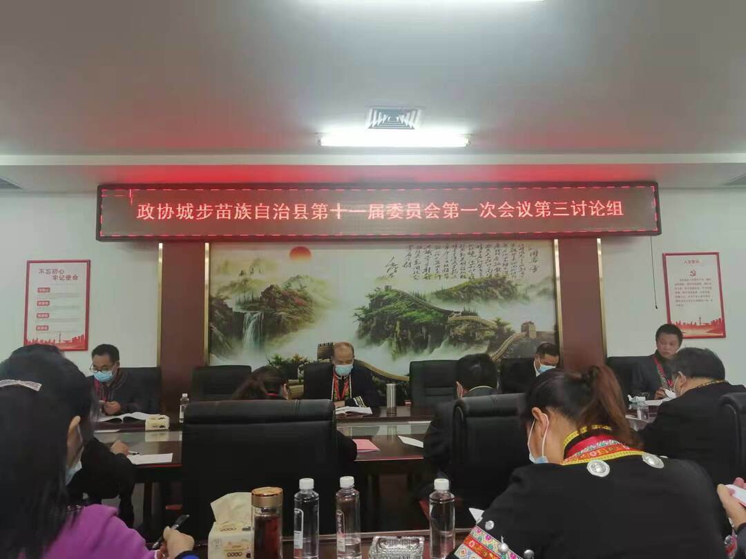 政协委员分组讨论政协城步苗族自治县第十一届委员会第一次会议相关工作报告(图1)