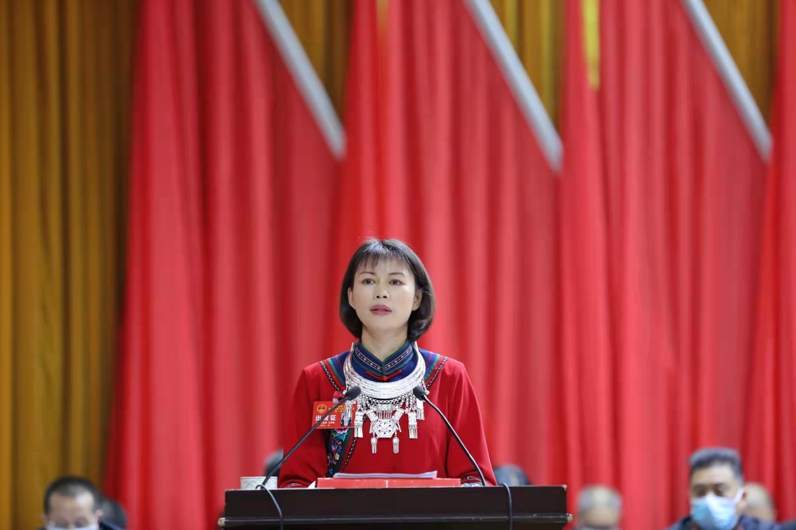 城步苗族自治县第十八届人民代表大会第一次会议开幕(图1)